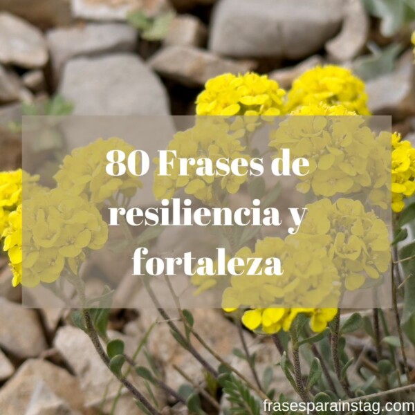 Frases De Resiliencia Y Fortaleza