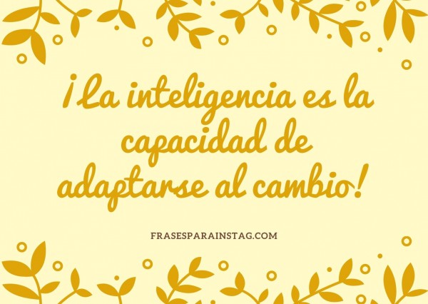 Frases de éxito muy motivadoras (para triunfar en tu vida personal y laboral )