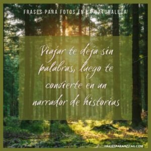 100 Frases Para Fotos En La Naturaleza Bonitas E Inspiradoras