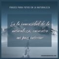 100 Frases Para Fotos En La Naturaleza Bonitas E Inspiradoras