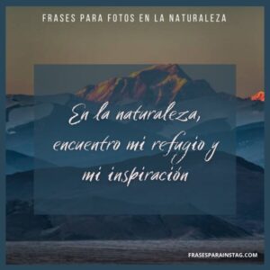 100 Frases Para Fotos En La Naturaleza Bonitas E Inspiradoras