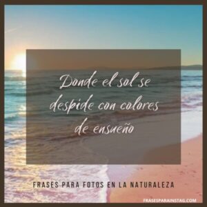 100 Frases Para Fotos En La Naturaleza Bonitas E Inspiradoras