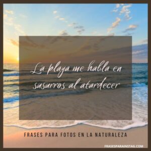 100 Frases Para Fotos En La Naturaleza Bonitas E Inspiradoras